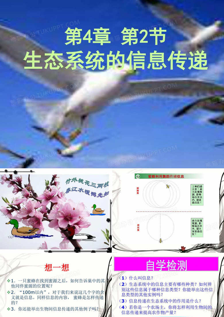 生态系统 信息传递
