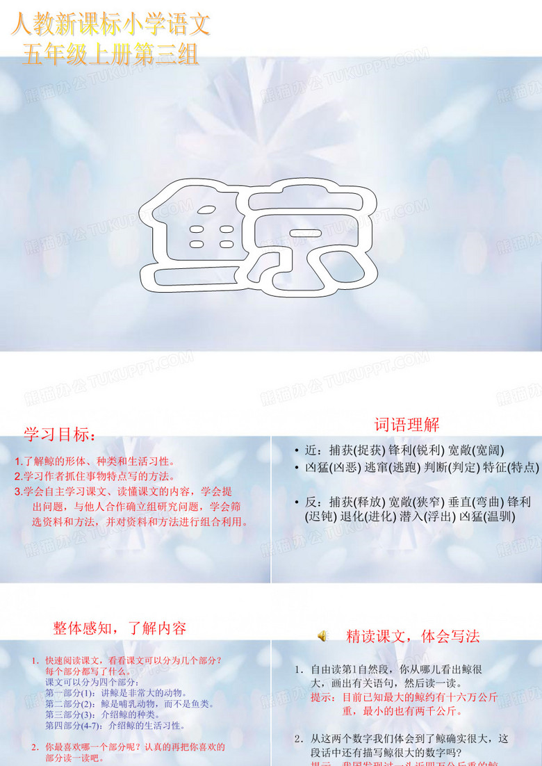 鲸中小学PPT教学课件