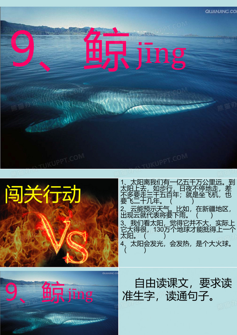五年级上册语文《鲸》完美版教学设计(公开课)
