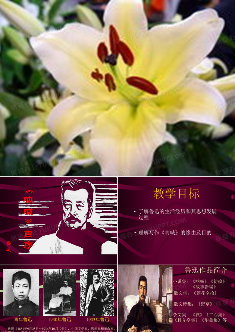 《呐喊》自序解析