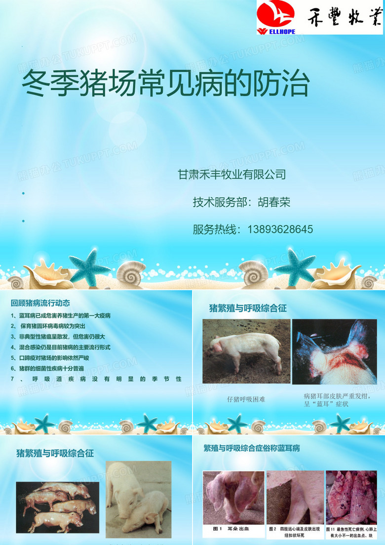 冬季猪场猪场常见病PPT优秀课件