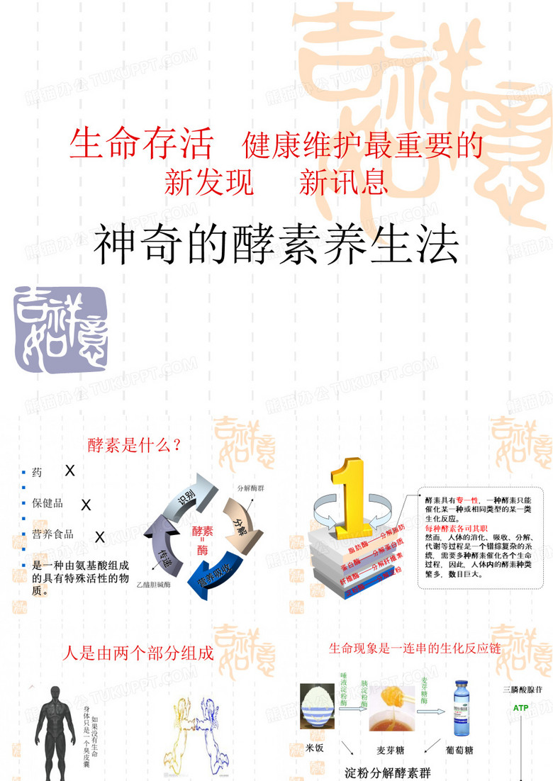酵素演讲课件