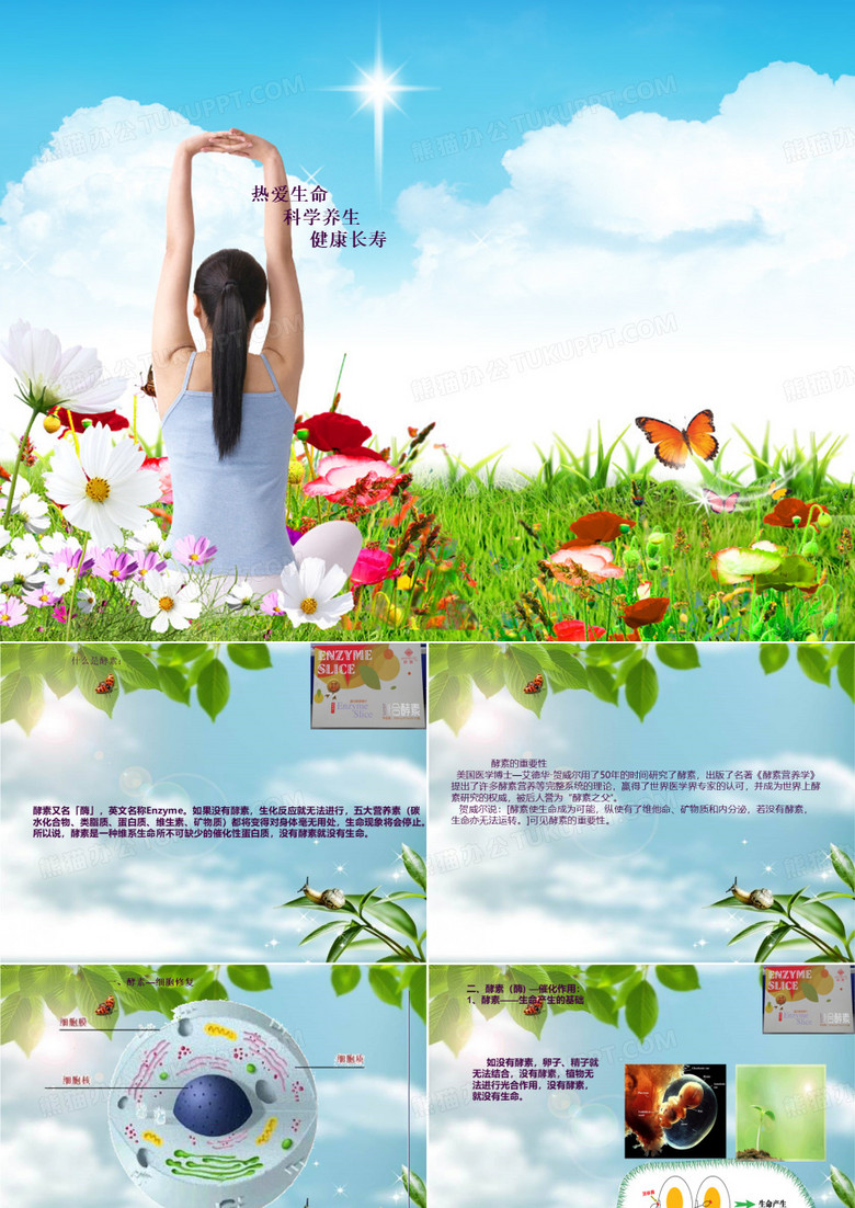 酵素ppt课件
