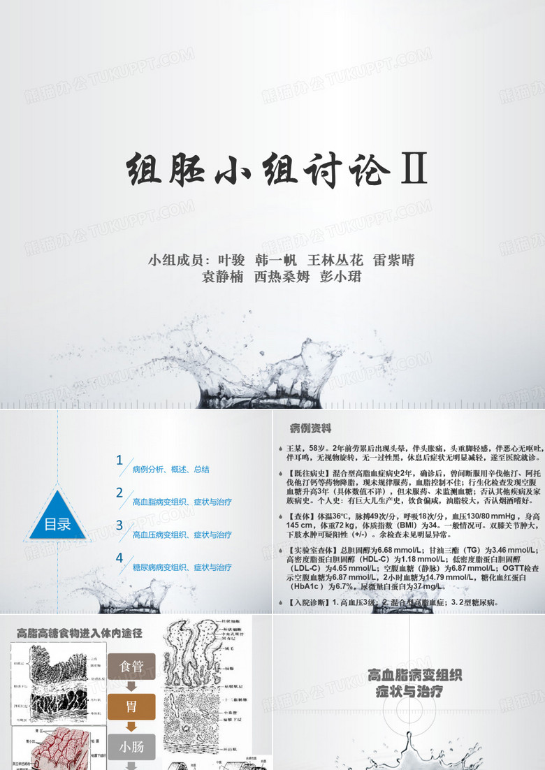 组胚小组讨论