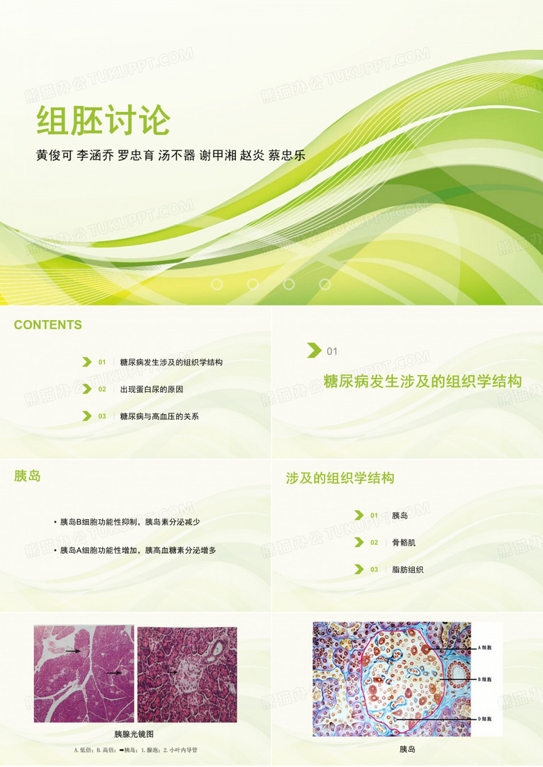 组胚讨论2