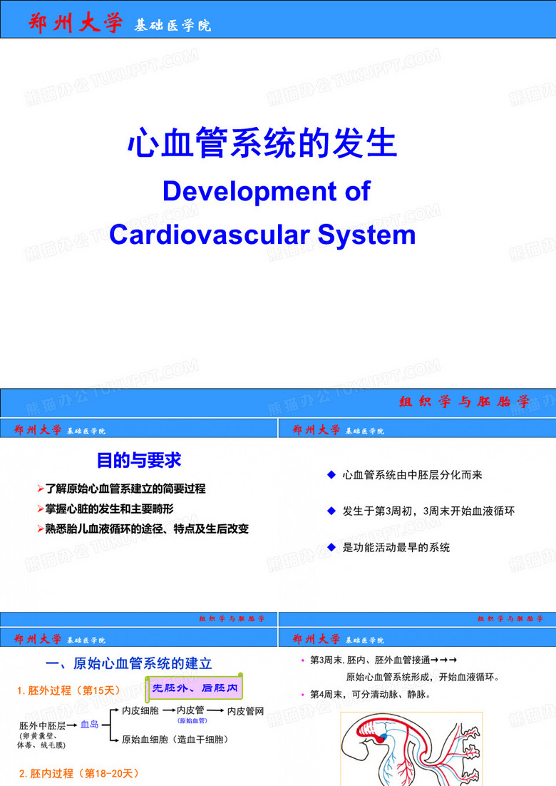 组胚课件精选