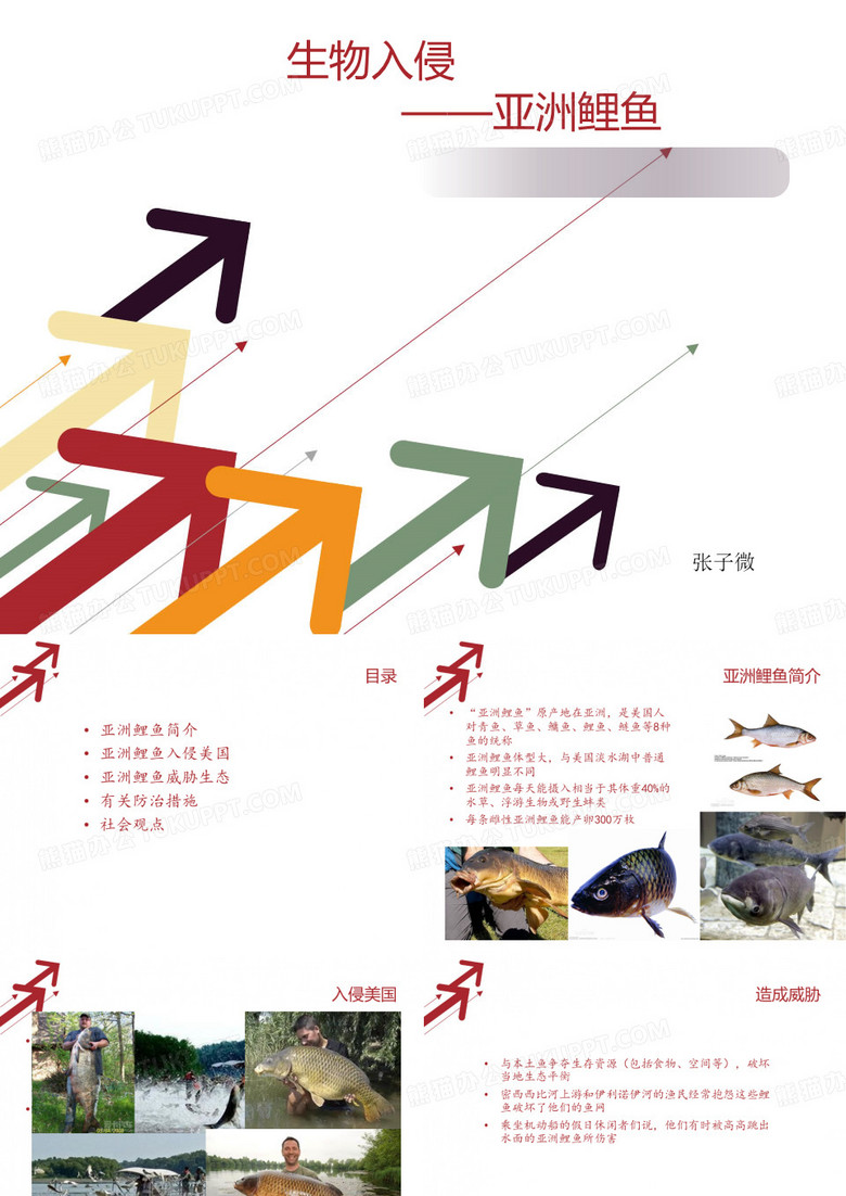 生物入侵