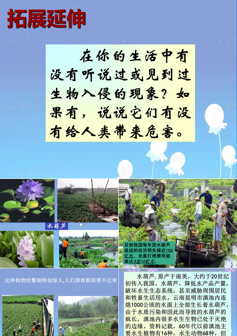 生物入侵资料