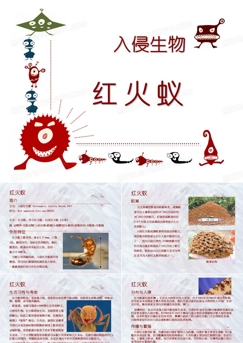 入侵生物-红火蚁