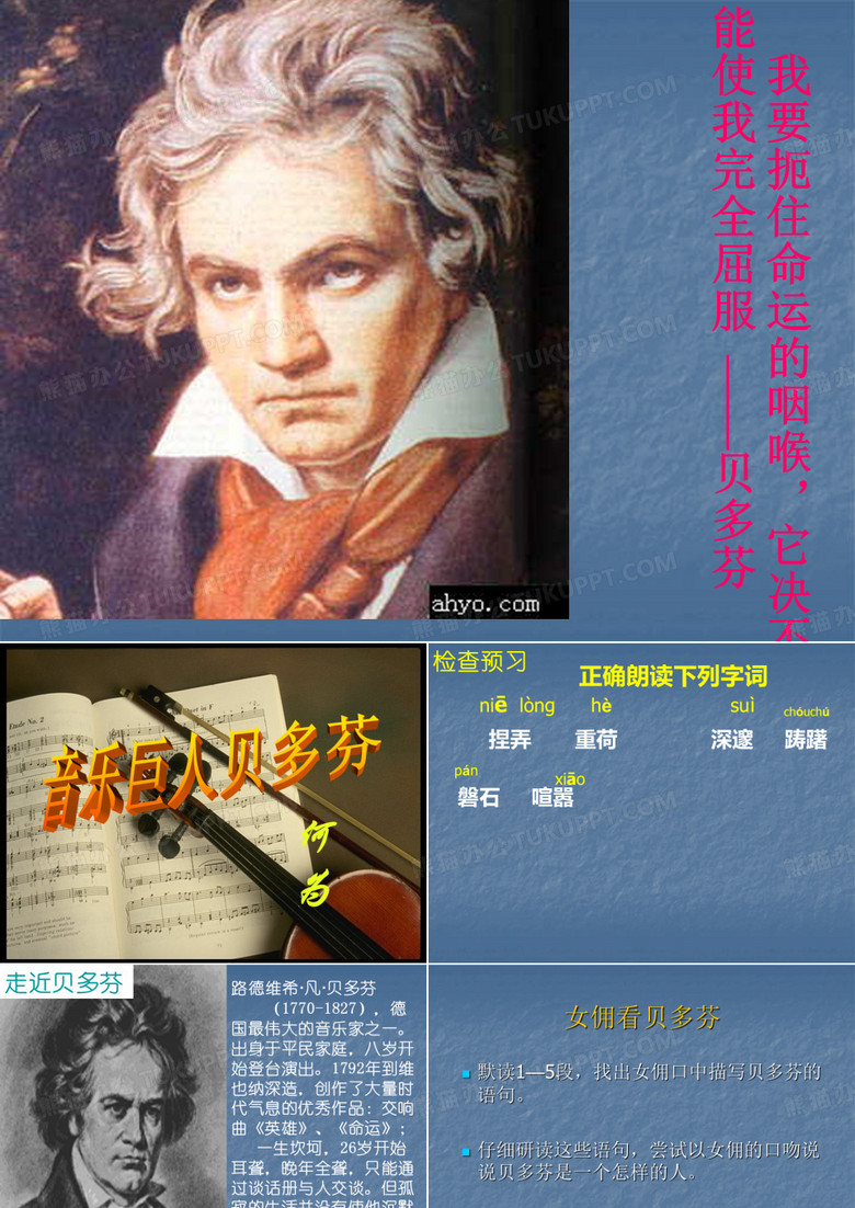 音乐巨人贝多芬 (3)