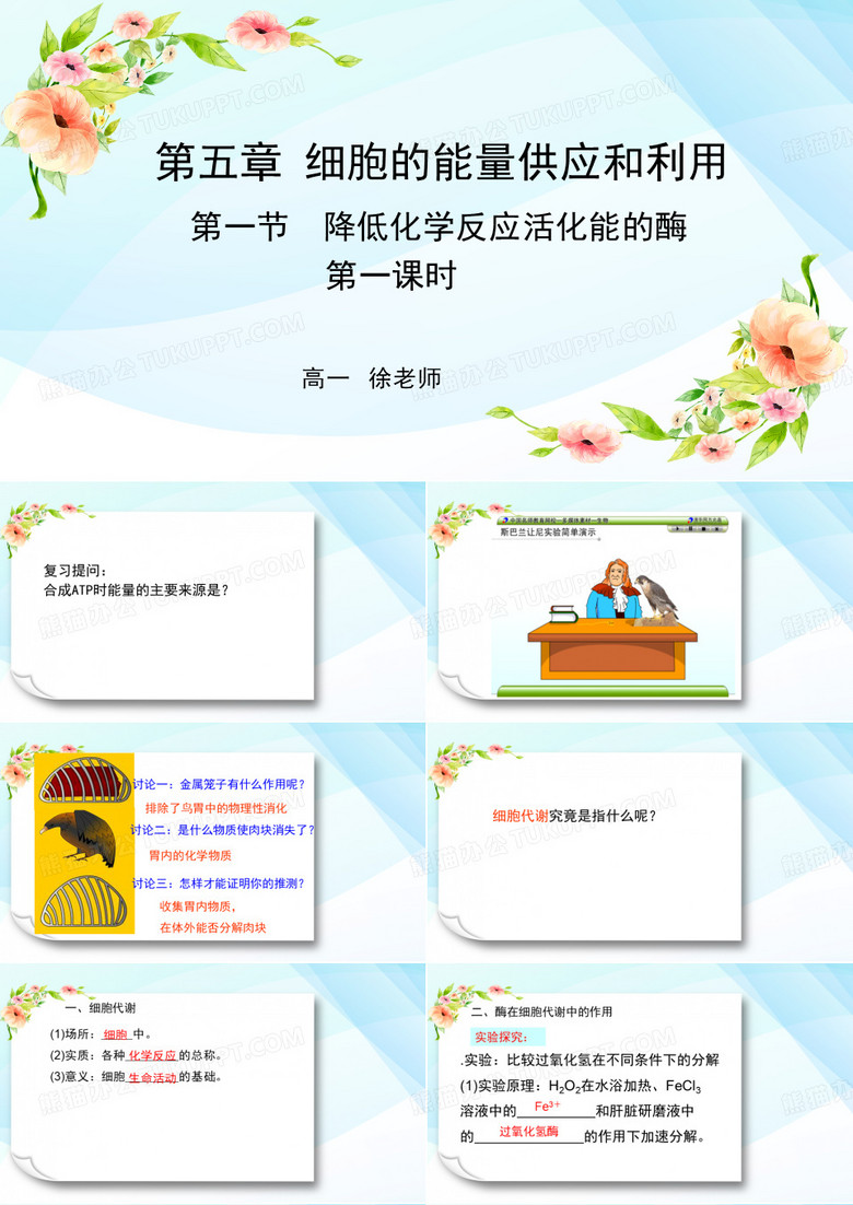 降低化学反应活化能的酶