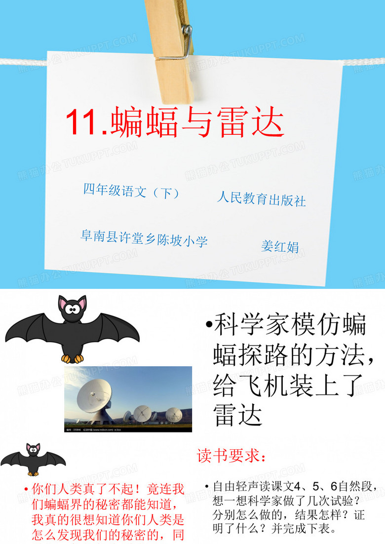 蝙蝠和雷达