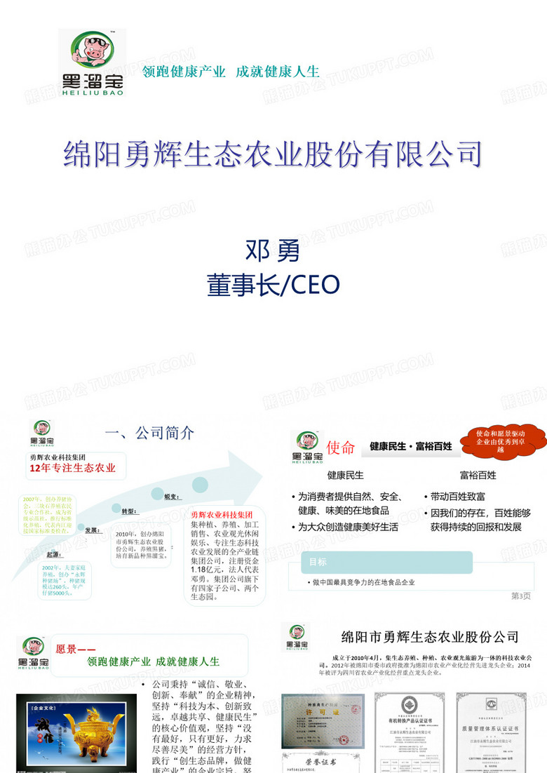 绵阳勇辉介绍