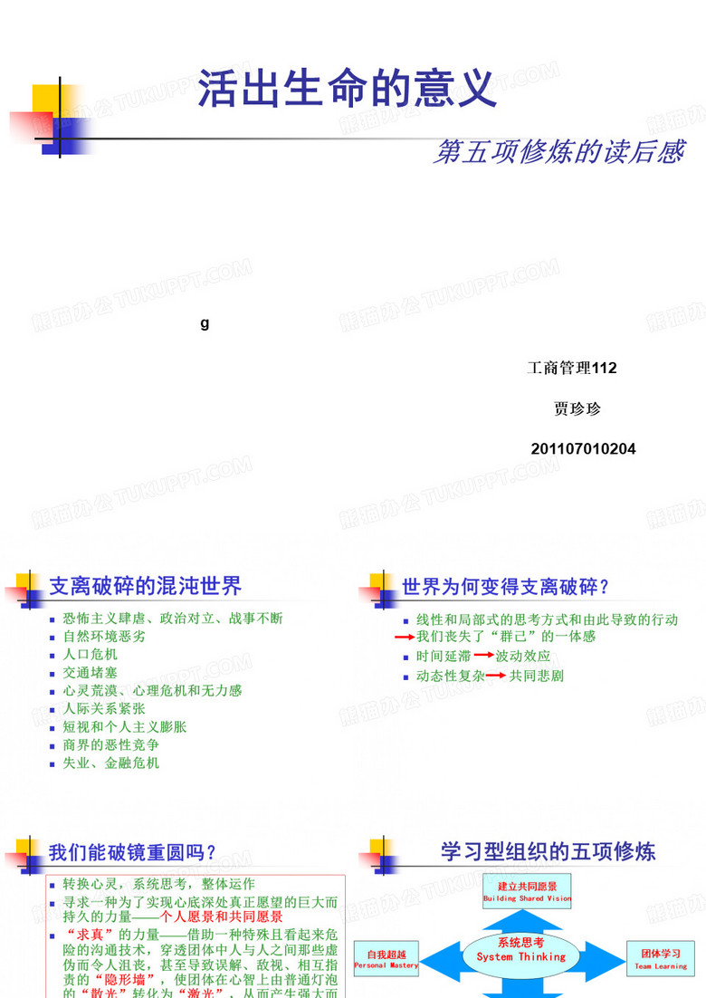 彼得圣吉：第五项修炼