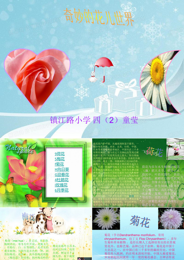 镇江路小学