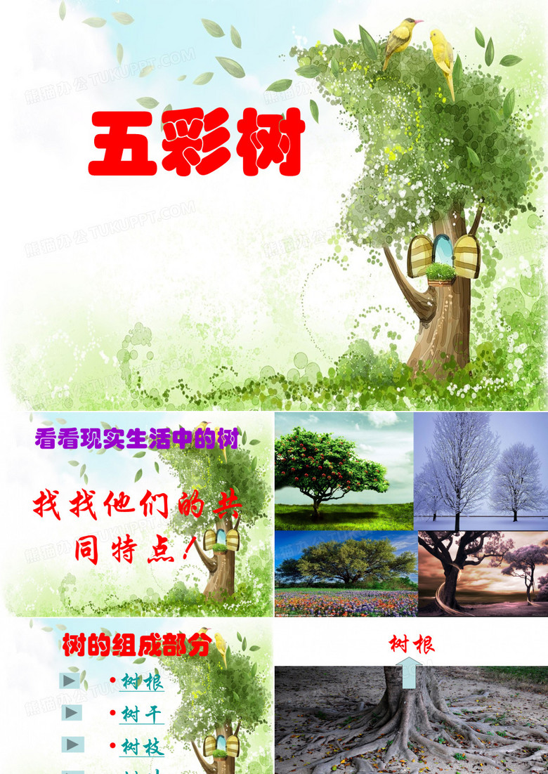 五彩树课件1
