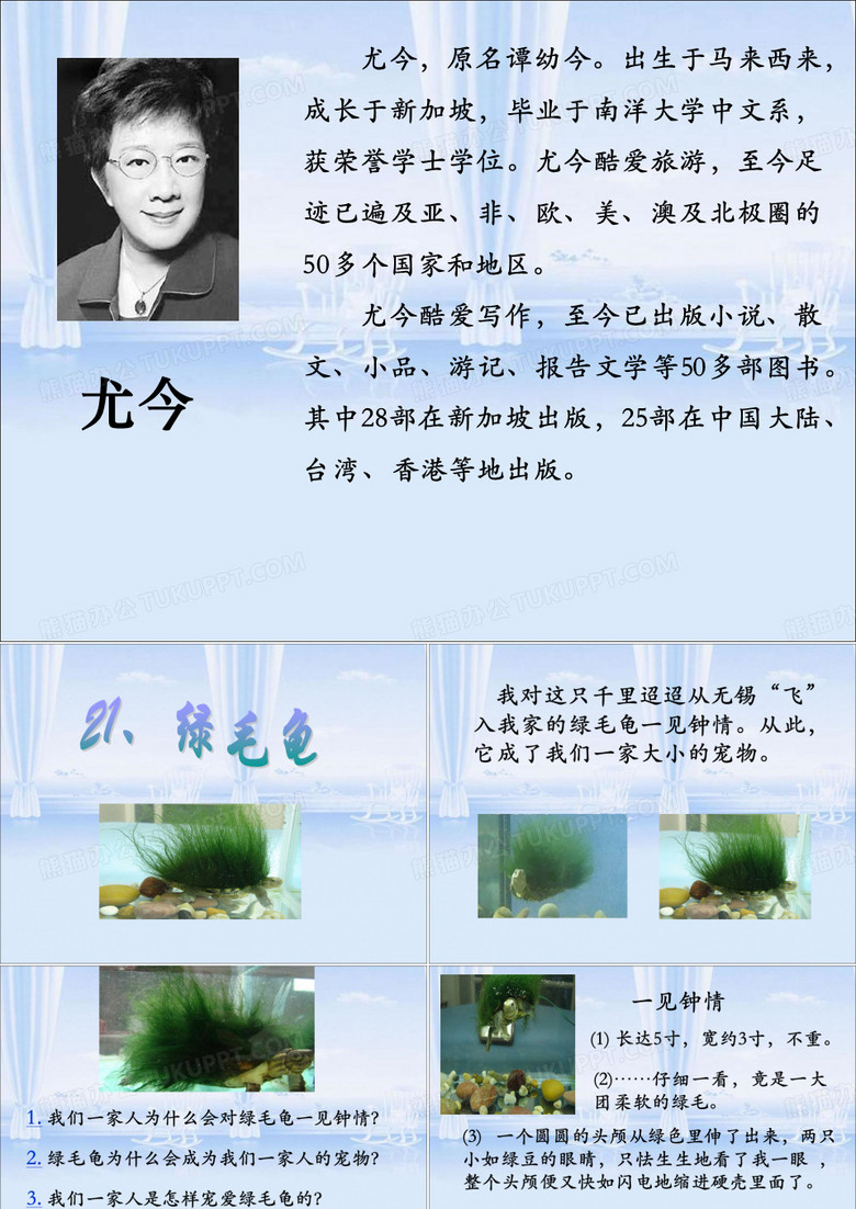 五上语文课件绿毛龟