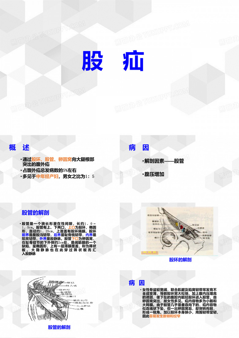 股疝的诊断与治疗