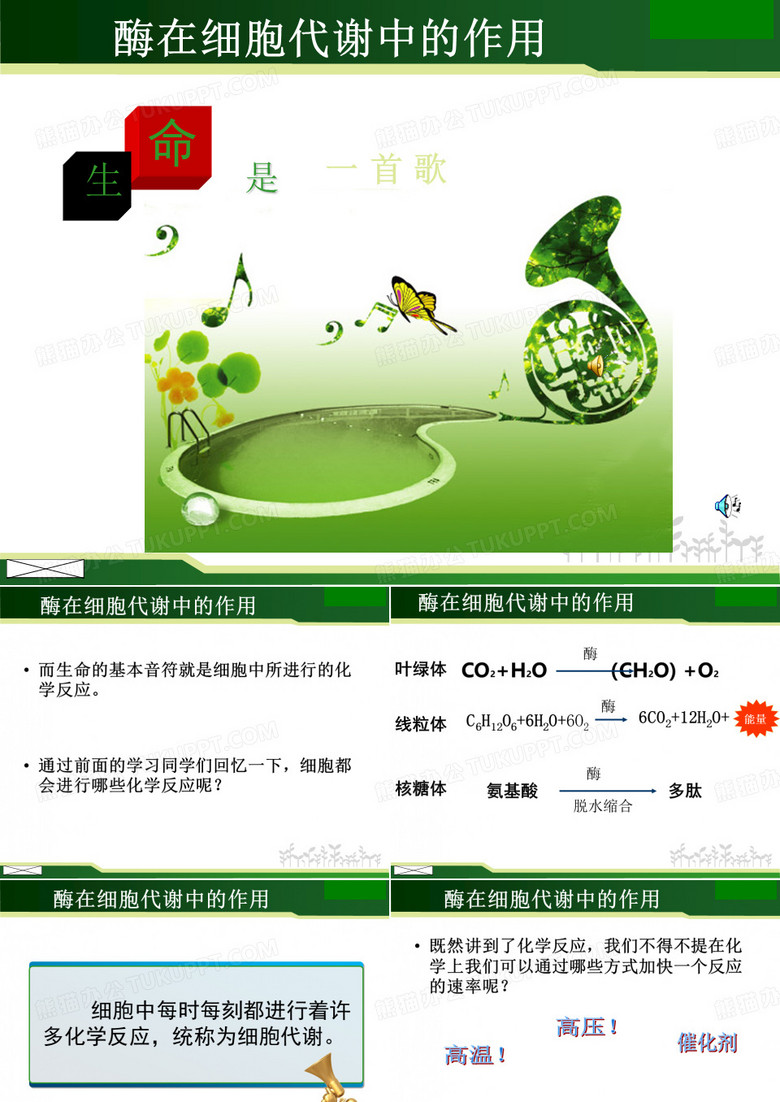 酶的作用和本质