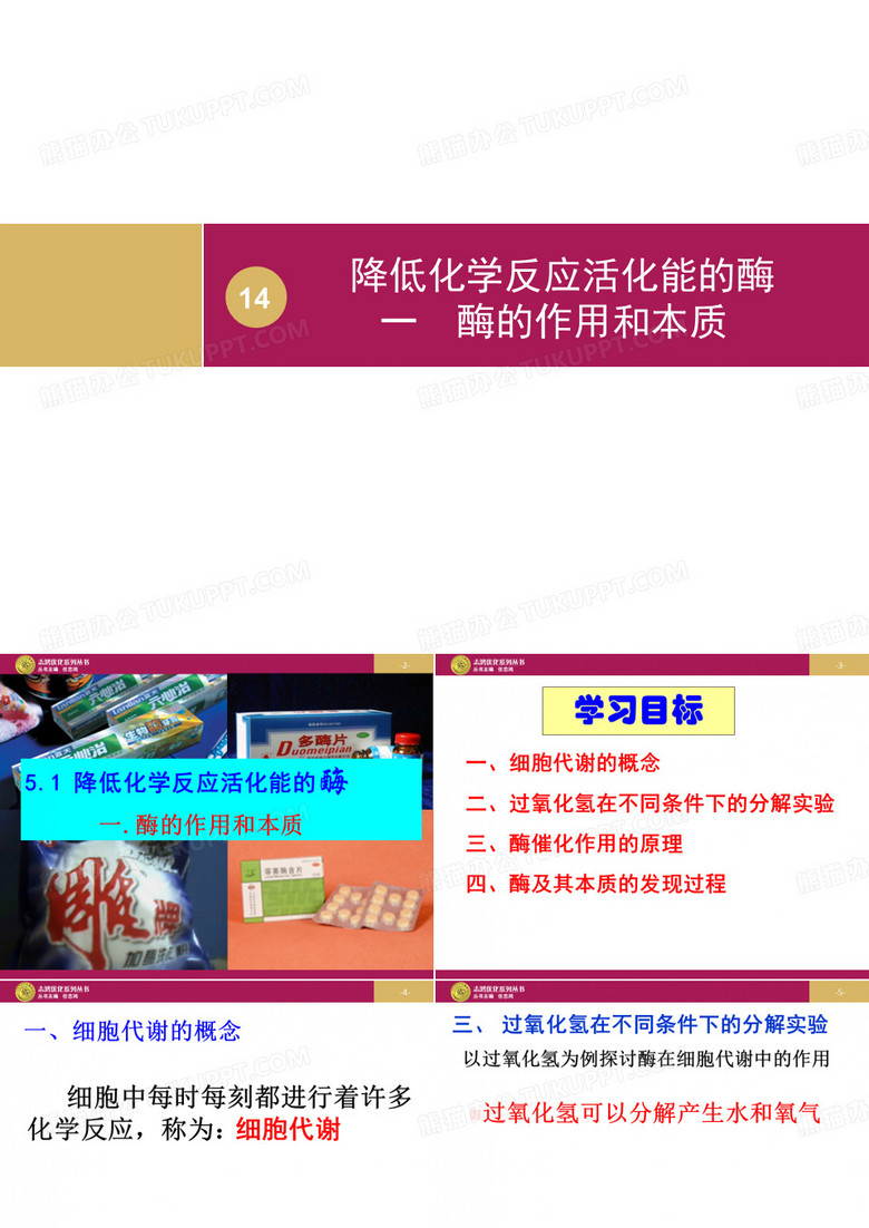 酶的作用和本质