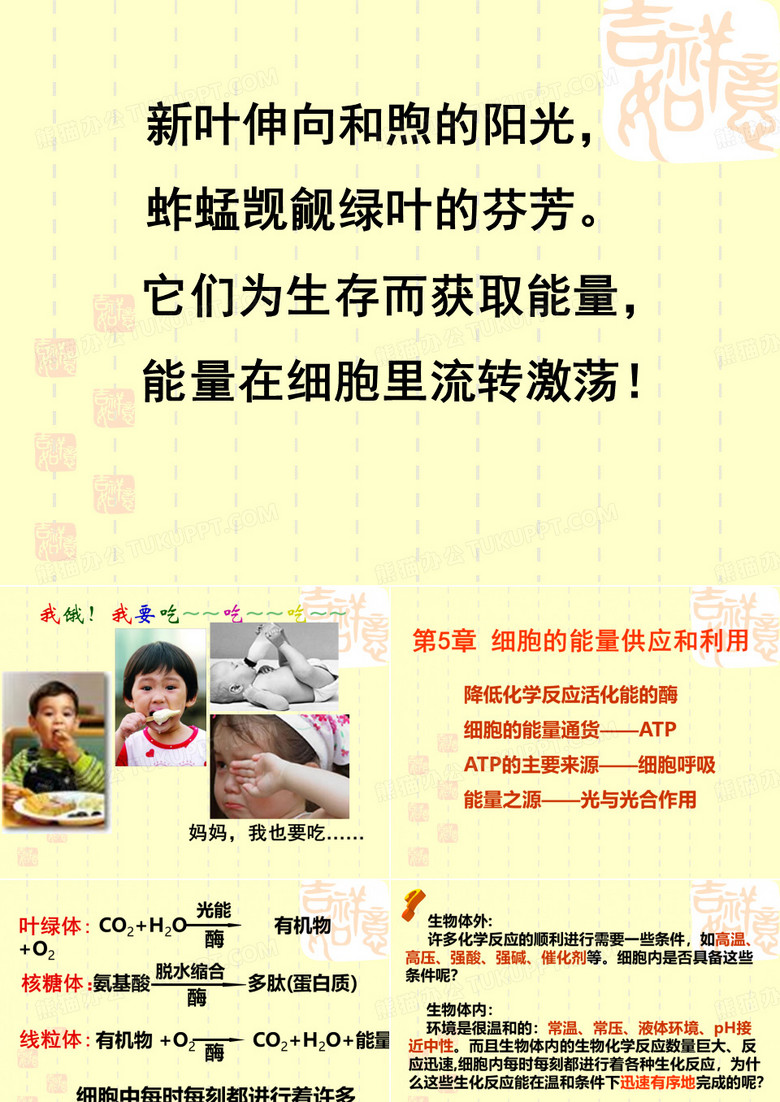 酶的作用和本质