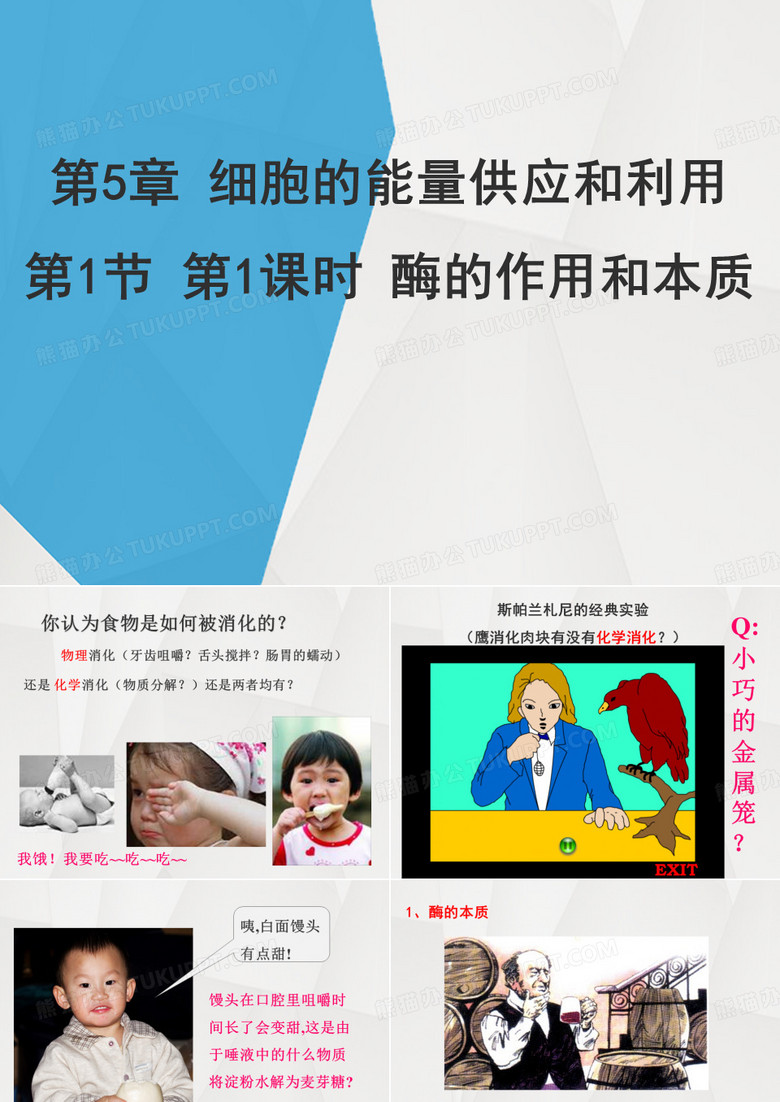 酶的作用和本质