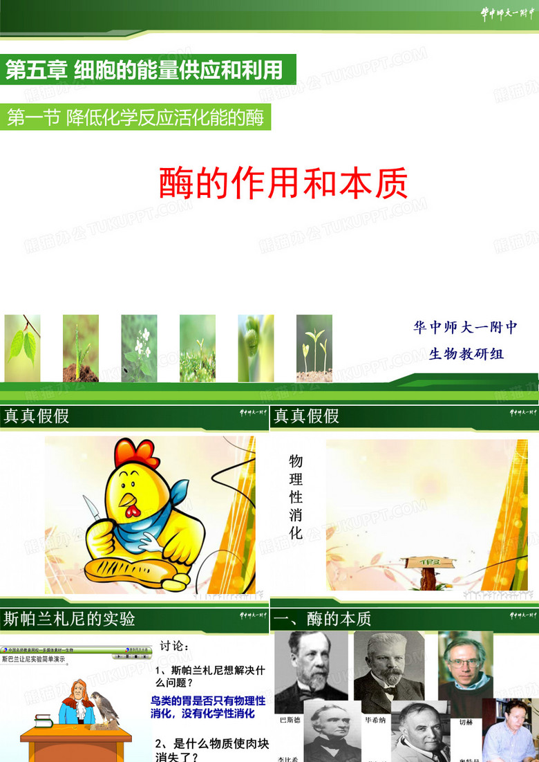 酶的作用和本质