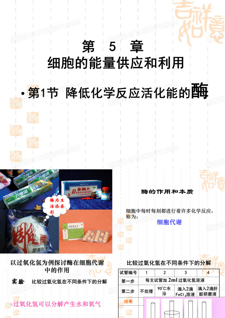 酶的作用和本质