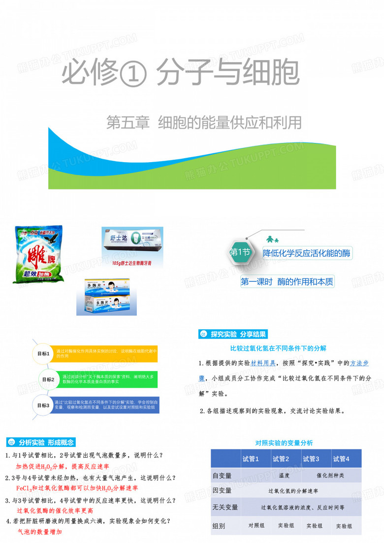 酶的作用和本质