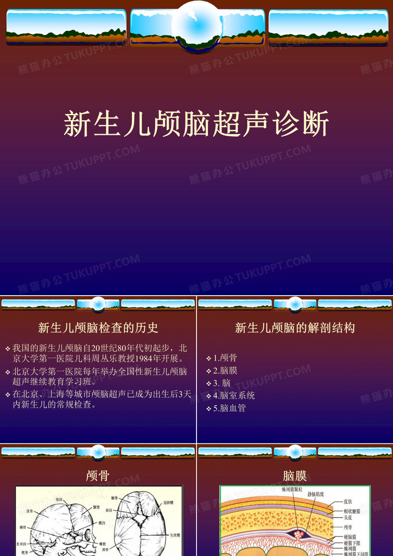 新生儿颅脑超声诊断