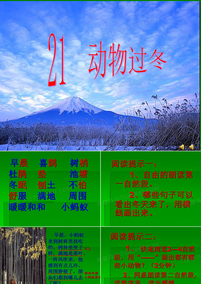动物过冬