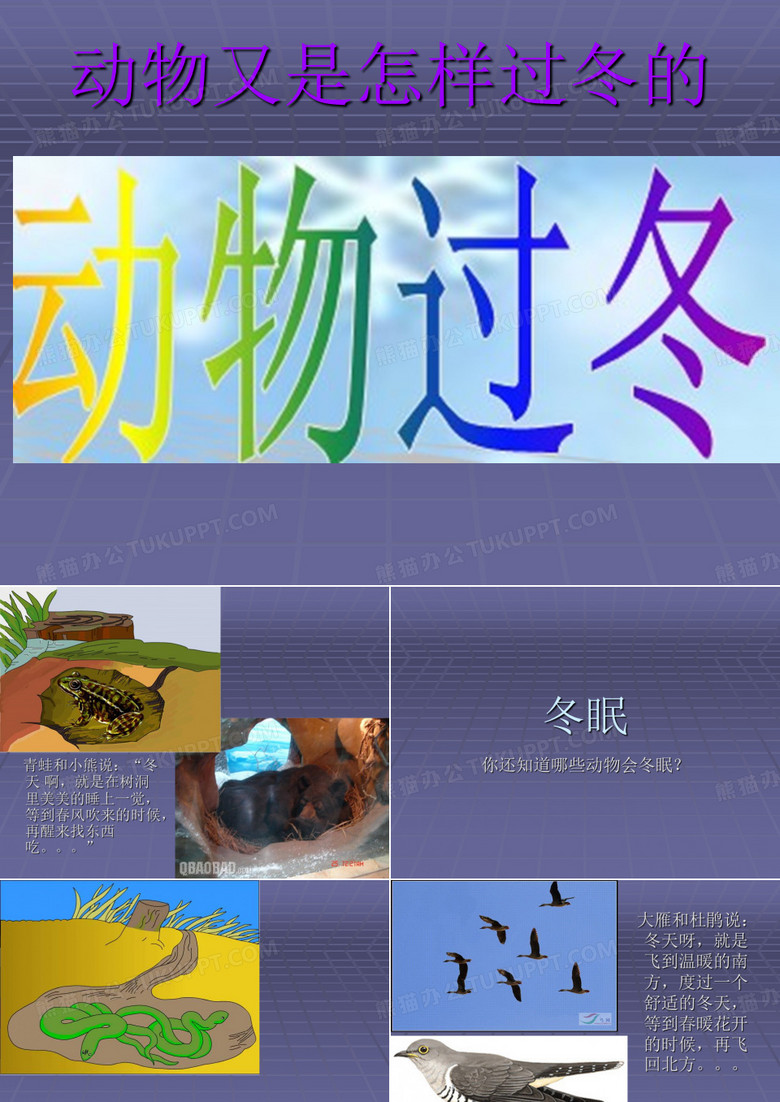 动物是怎样过冬的