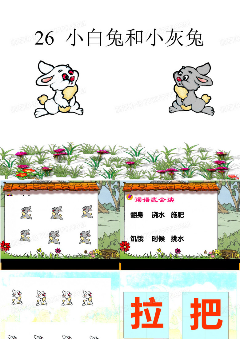 《小白兔和小灰兔》ppt