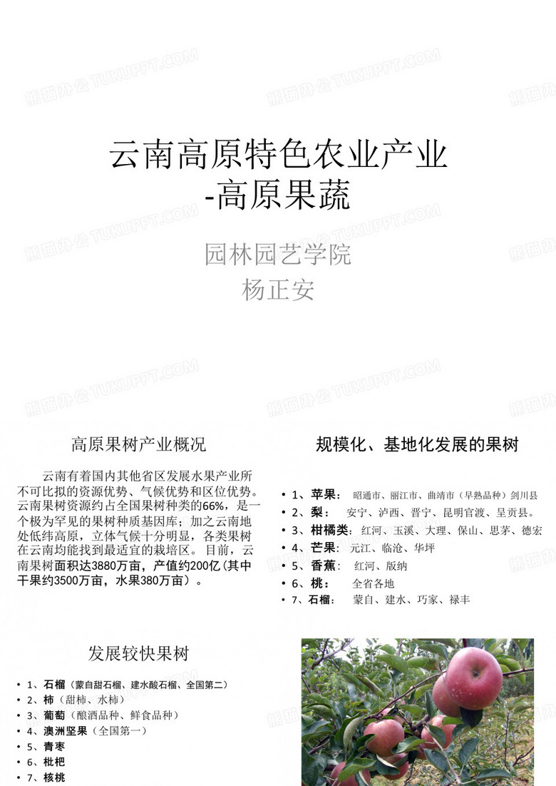 云南高原特色农业产业