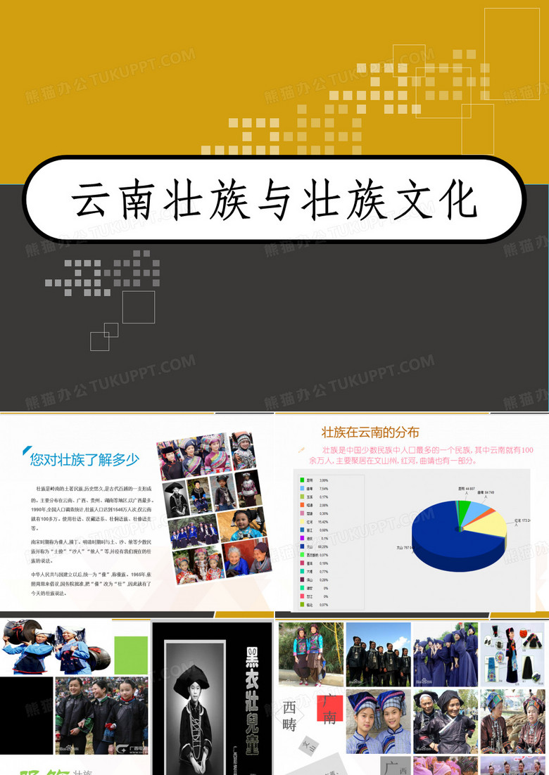 云南壮族与壮族文化 PPT