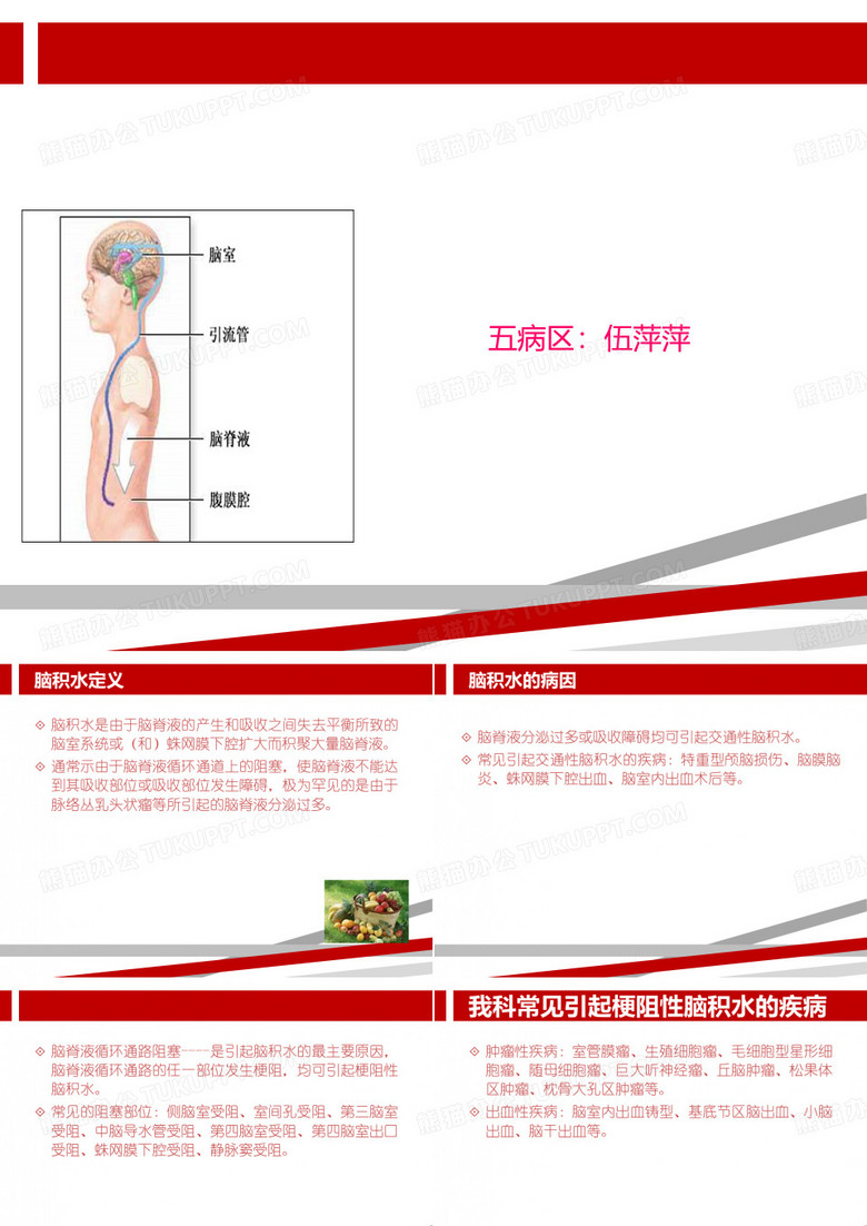 脑室-腹腔分流术.ppt