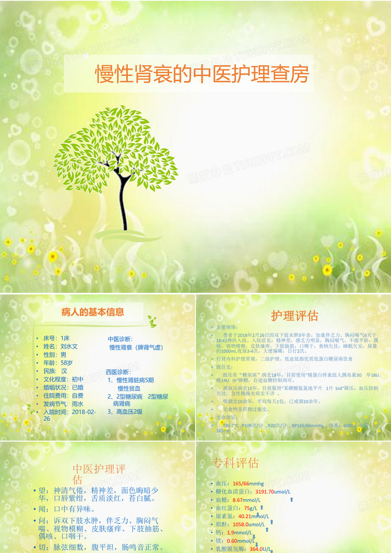 慢性肾衰中医护理_查房