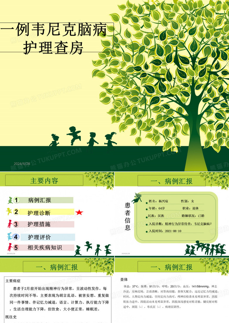 韦尼克脑病护理查房(改)