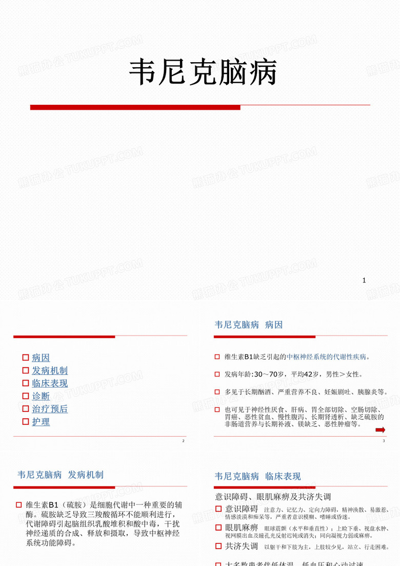 韦尼克脑病精品PPT课件