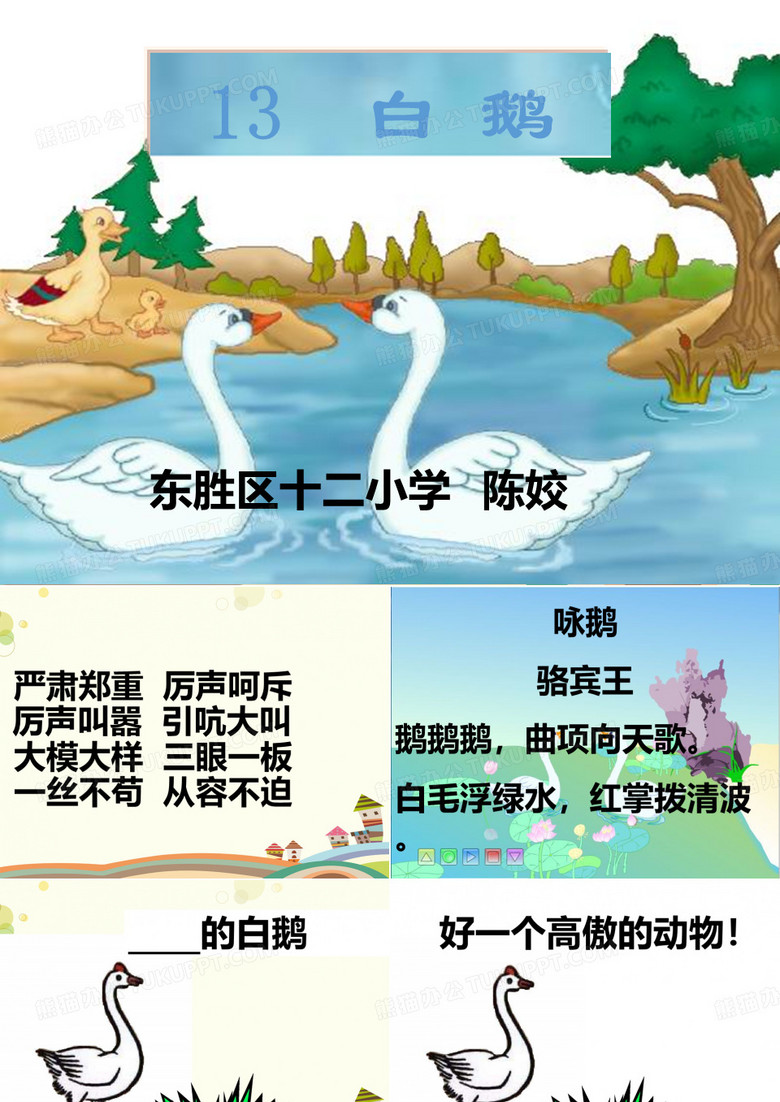 白鹅 全市一等奖-完美版PPT课件