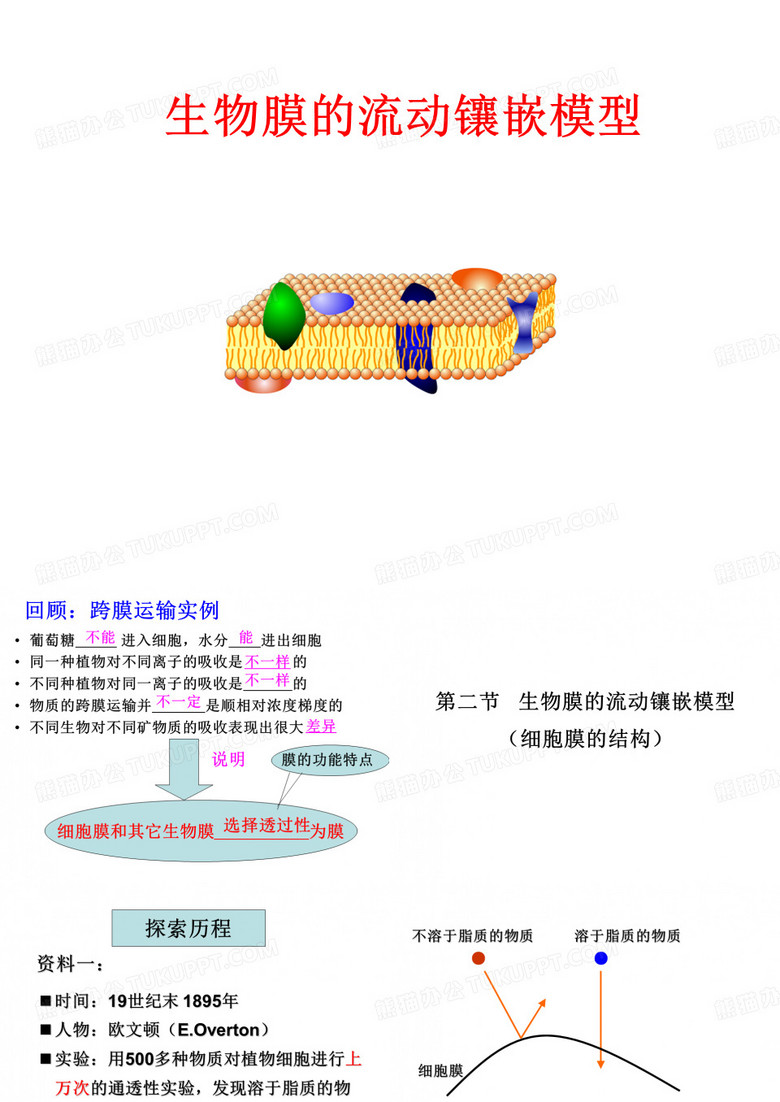 生物膜的流动镶嵌模型