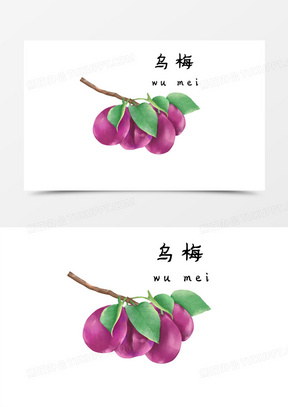 手绘插画中医药乌梅元素