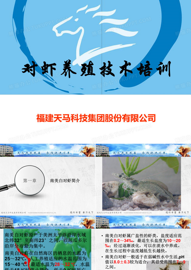天马对虾养殖技术培训