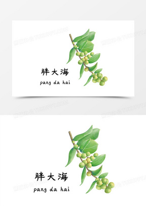 手绘插画中草药胖大海元素