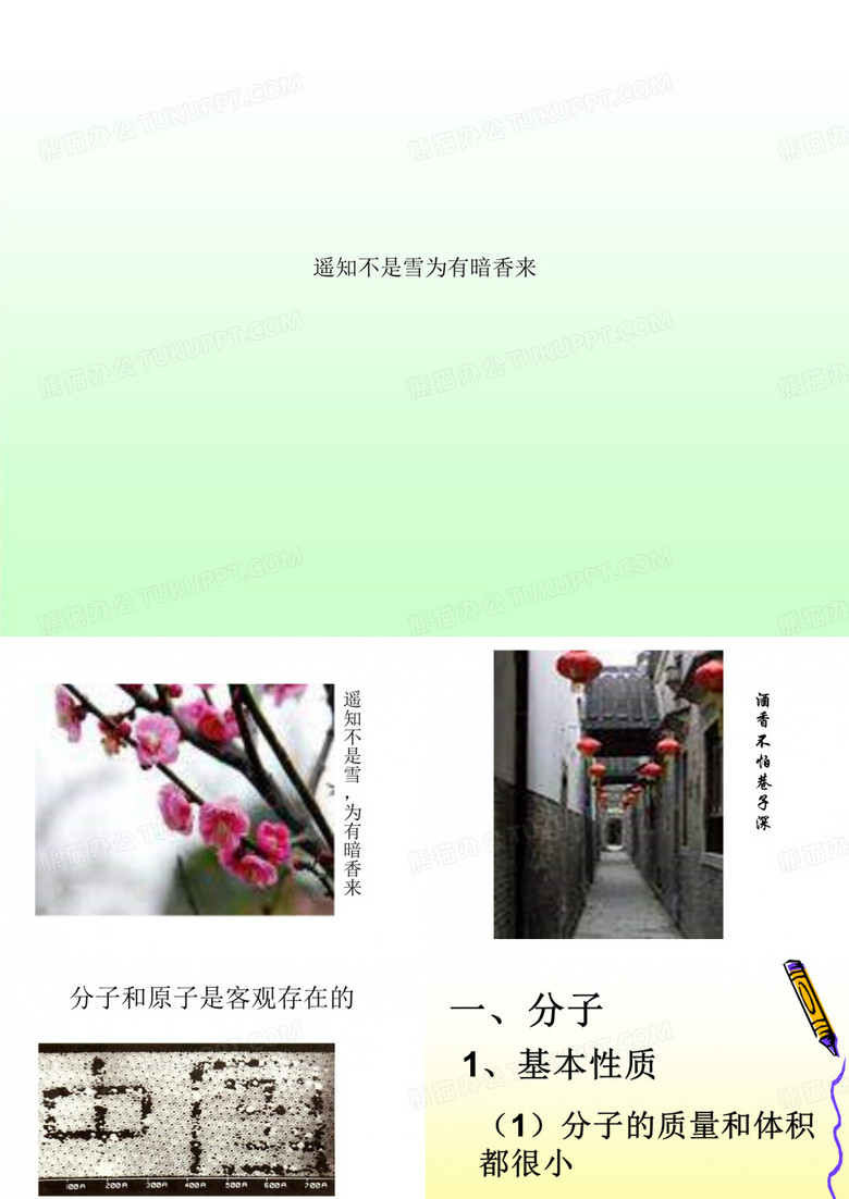 遥知不是雪为有暗香来