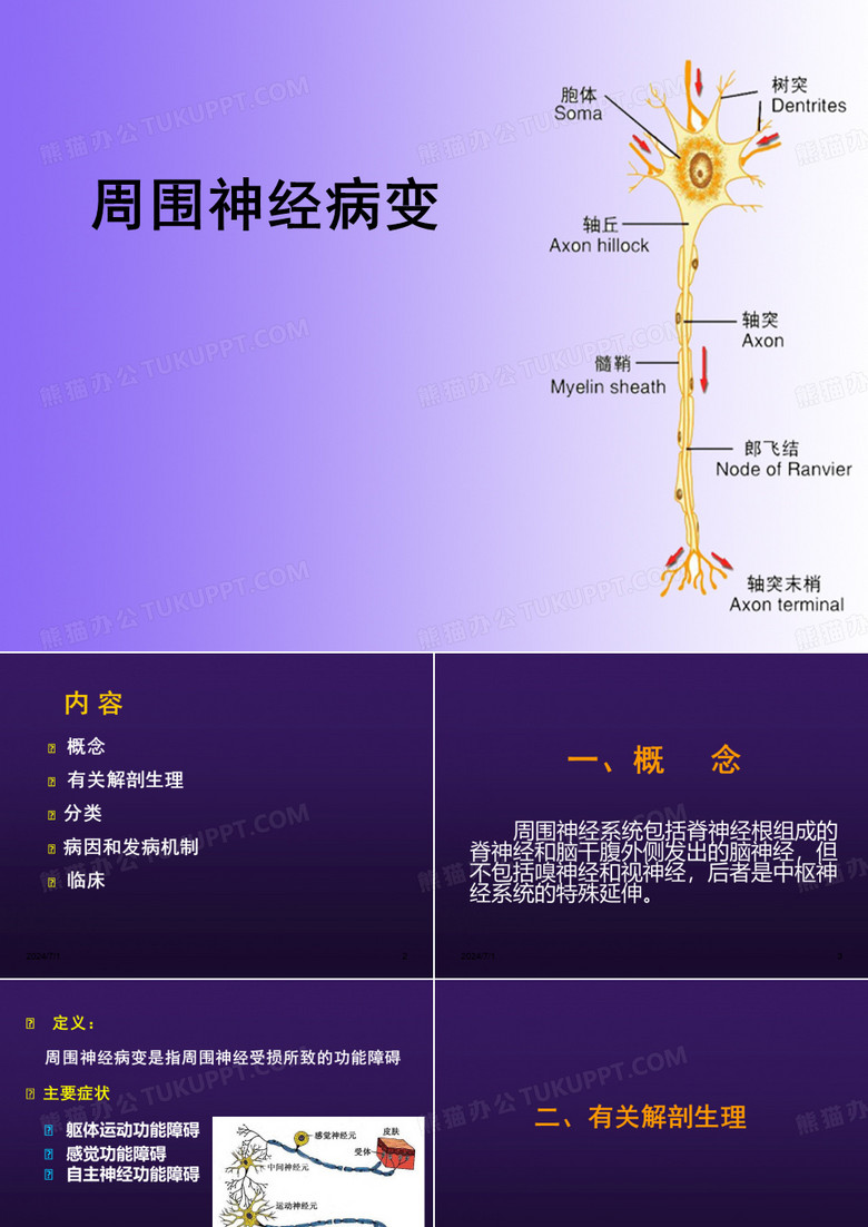 周围神经病