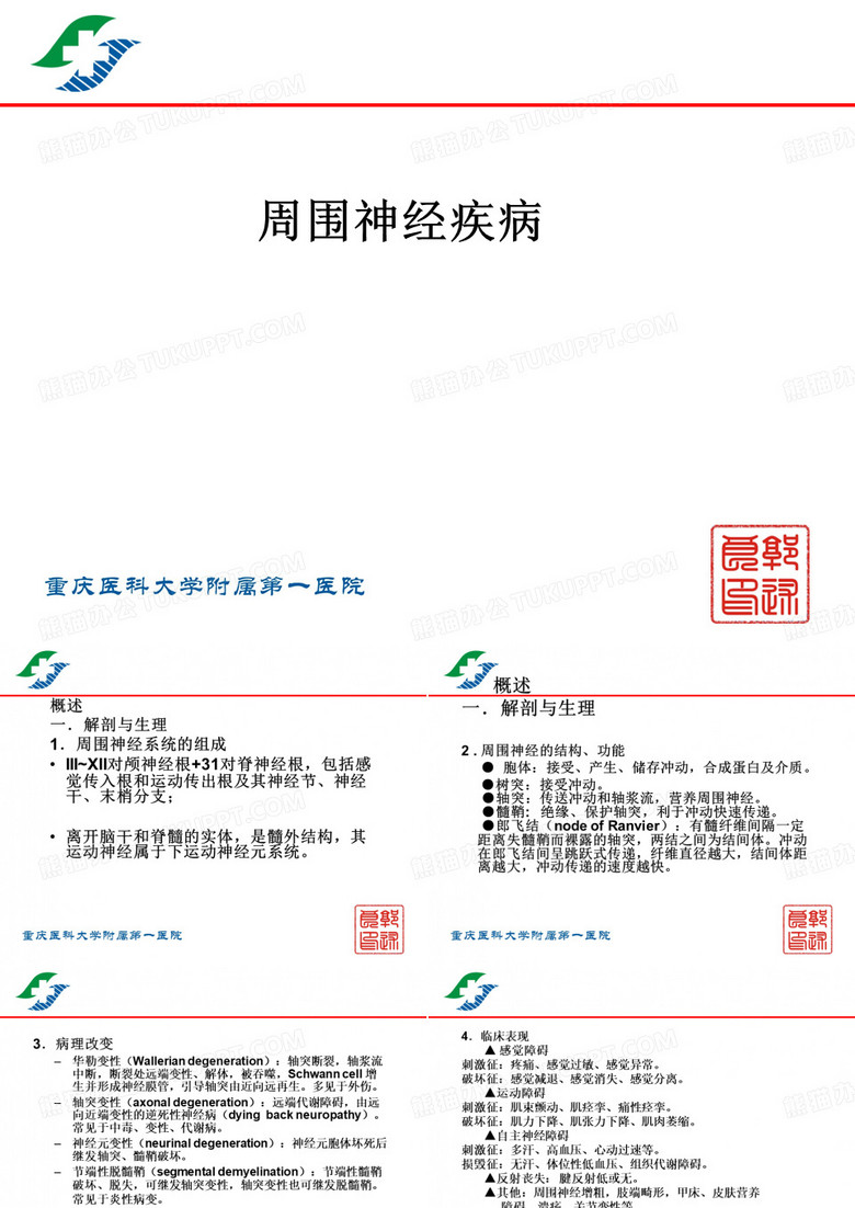 周围神经病