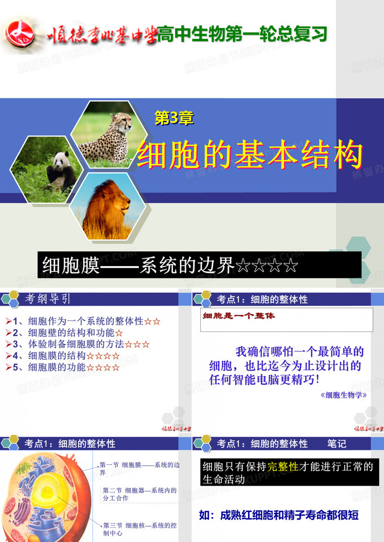 细胞膜——系统的边界