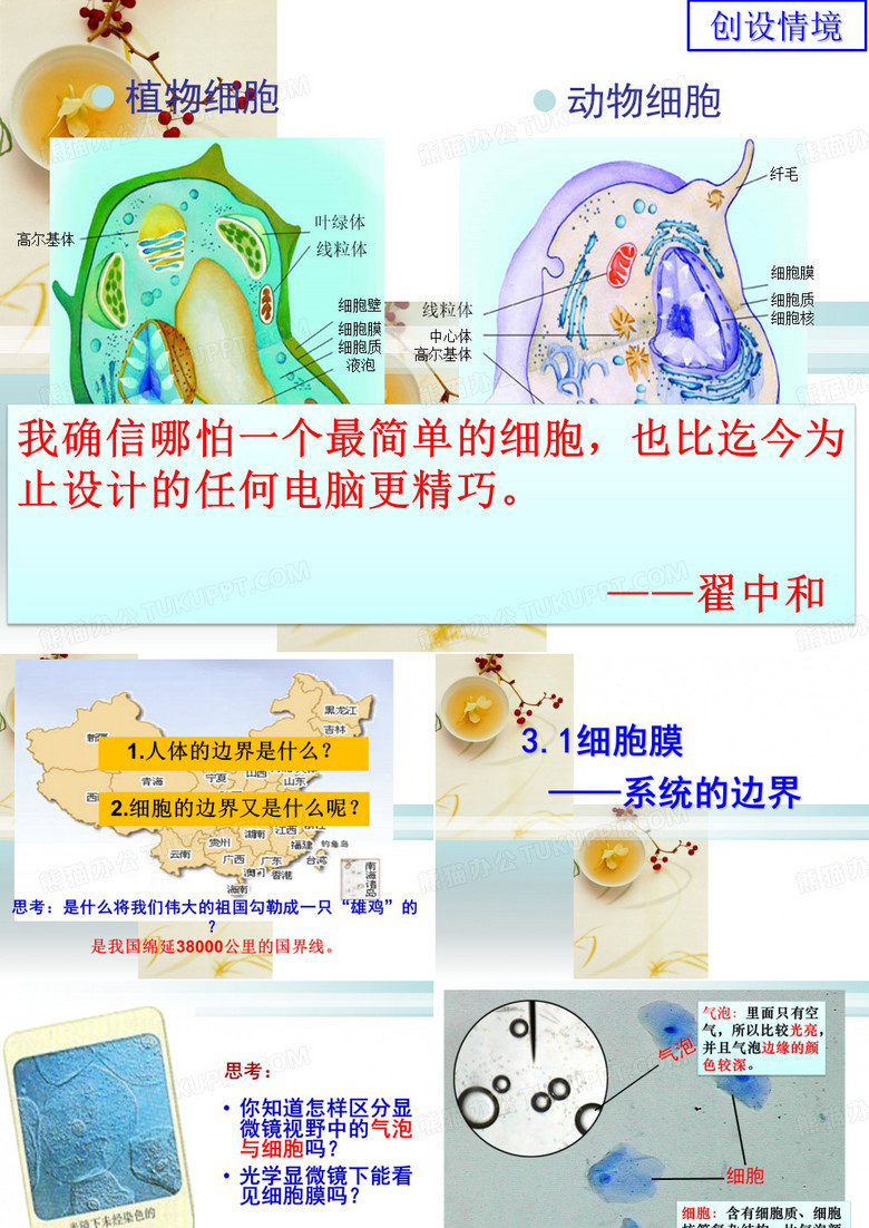 细胞膜-系统的边界