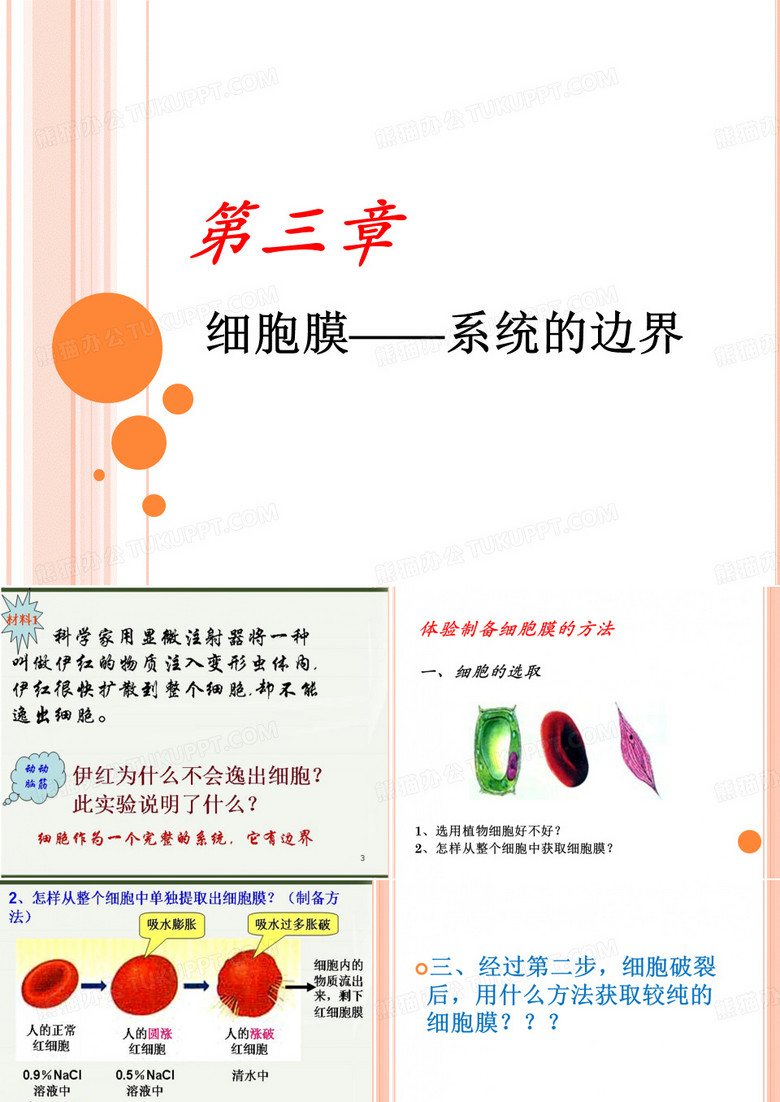细胞膜是系统的边界